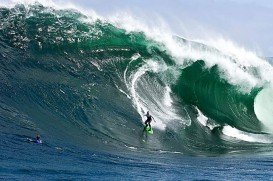 Shipstern Bluff, East Coast