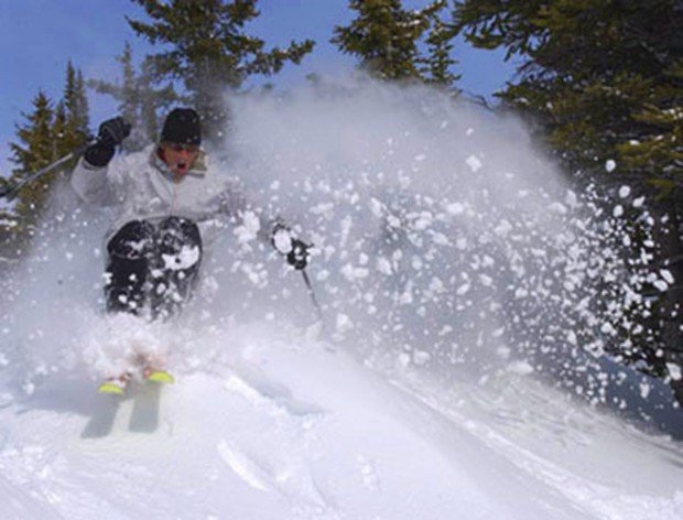 "Alpine Skier at Marmot Basin"