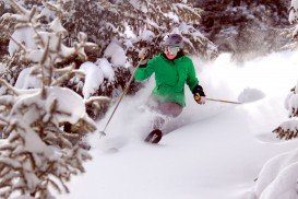 Angel Fire Resort, Colfax County