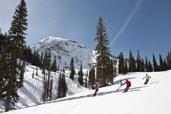 "Alpine skiing at Fernie Alpine Resort"