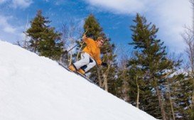 Mount Washington Resort, Courtenay