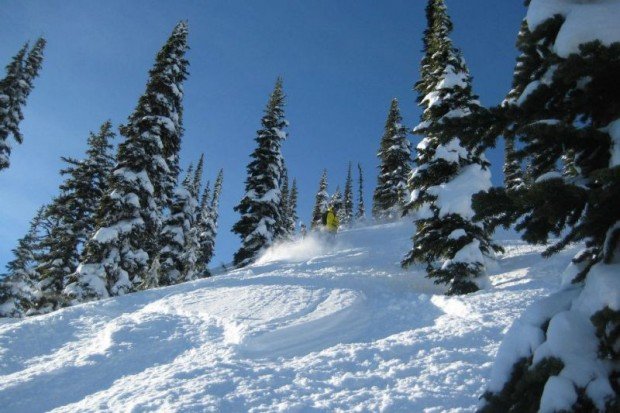 "Alpine skiing at Silver Star Mountain"