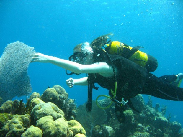 "Bare Island Scuba Diver"