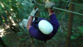 Blue Grotto Forest, Winterton