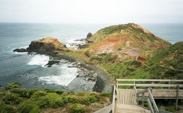 "Cape Schanck Snorkeling"