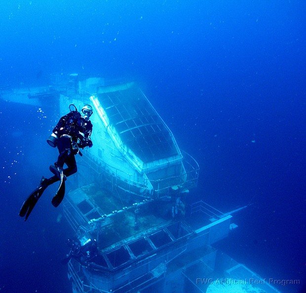 "Clifton Gardens Scuba Diver"