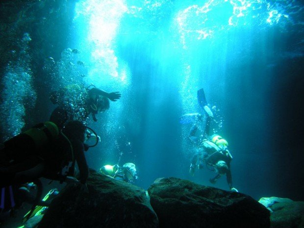 "Coogee Beach Scuba Diving"