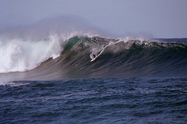 "Coogee Beach Surfer"