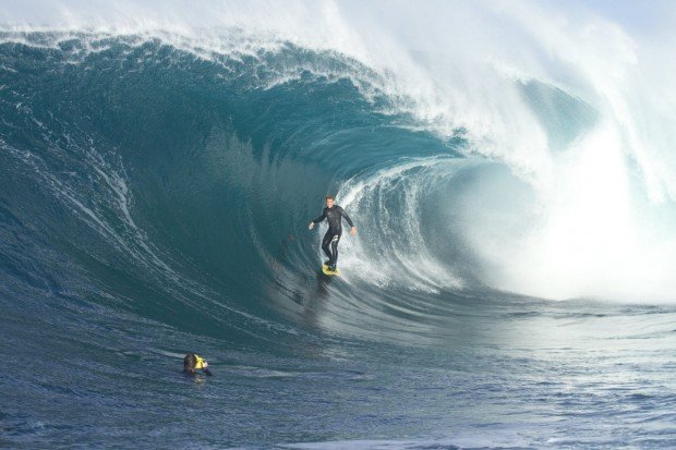 "Coogee Bombie Surfing"