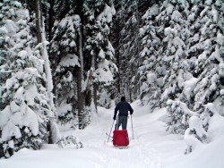 Lake Louise Ski Area, Lake Louise