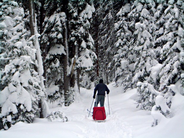 "Cross Country Skier at Lake Louise Ski Area"