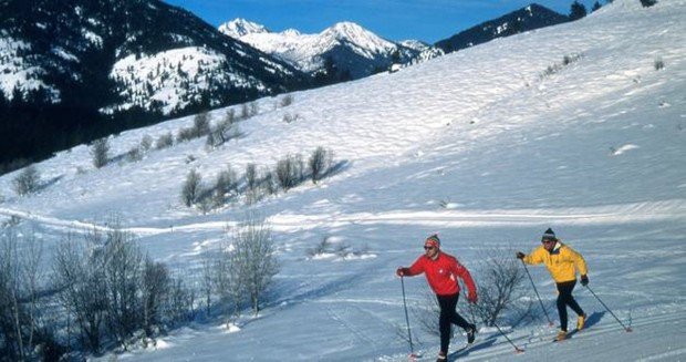 "Cross Country Skiing at Castle Mountain Resort"
