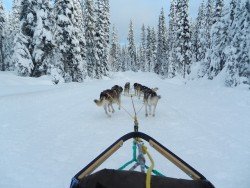 Big White Ski Resort, Kelowna