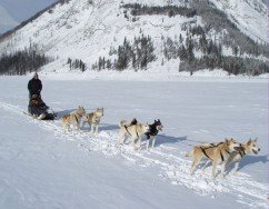 Lake Louise Ski Area, Lake Louise