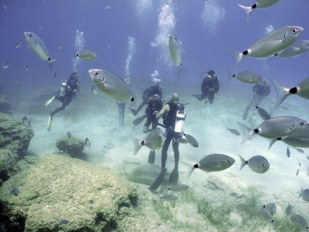 "Little Bay Beach Scuba Diving"