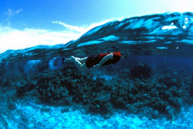 "Little Bay Beach Snorkeling"