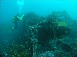 MV Malabar Wreck, Sydney