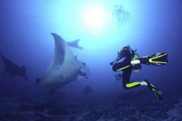 "Magic Point Scuba Diving"