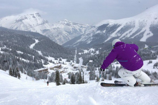 "Mt Norquay Alpine Skier"