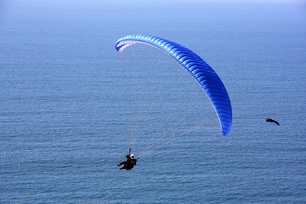 "Paragliding at Cooks Terrace"