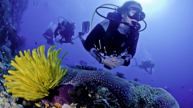 "Scuba Divers at 4th-5th Reefs"