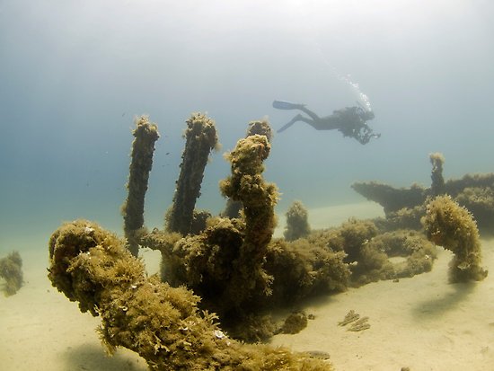 "Scuba diving HMS Maori wreck"