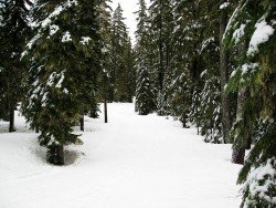 Willamette Pass Resort, Eugene