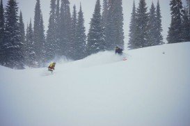 Fernie Alpine, Fernie