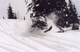 Fernie Alpine, Fernie