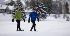 Fernie Alpine, Fernie