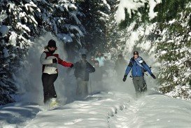 Whistler Blackcomb Mountains, North Vancouver