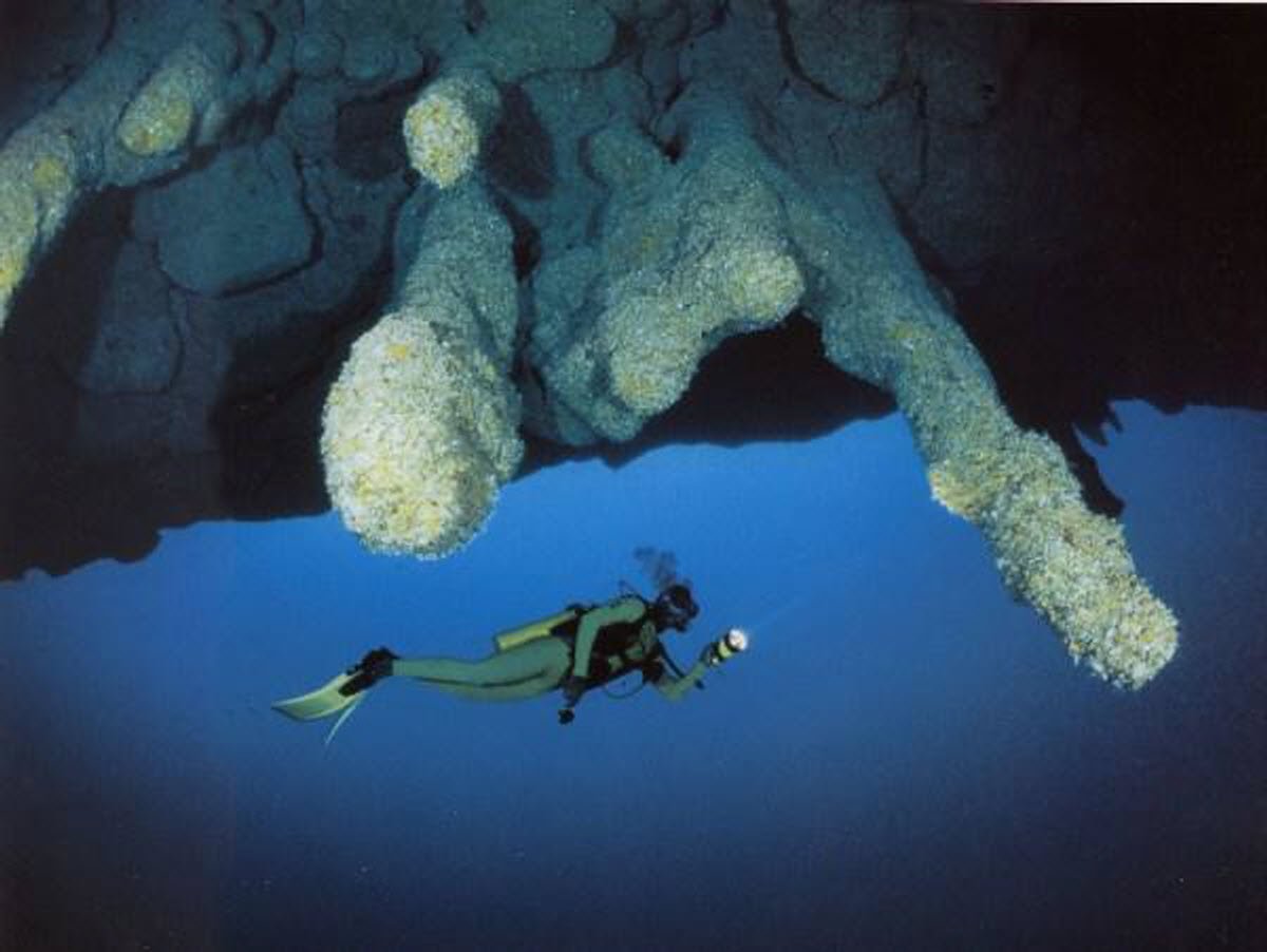 Exploring the Depths: Diving into the Blue Hole