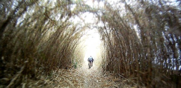 "Van Gaalens's Mountain Biking Trail"