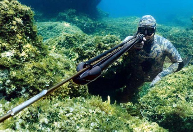 "Voodoo Spearfishing"