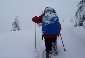 Mount Washington Resort, Courtenay