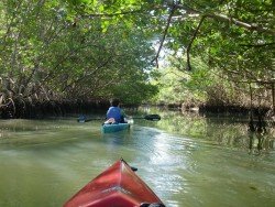 Oleta River State Park, Miami