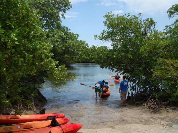 "Kayaking at Oleta River State Park"