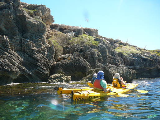 "Kayaking at Penguin Island"