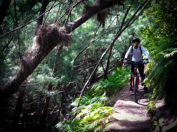 "Mountain Biking at Oleta River State Park"