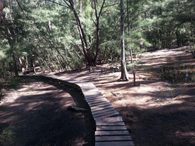 "Mountain Biking at Oleta River State Park"