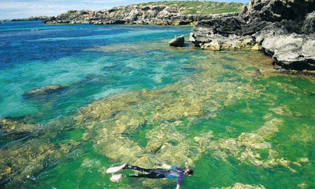 "Scuba Diving at Penguin Island"