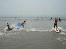 Folly Beach, Charleston