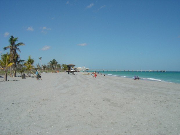 "Surfing at Dania Beach"