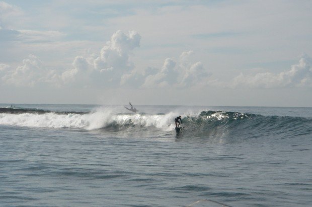 "Surfing at Mudjimba"