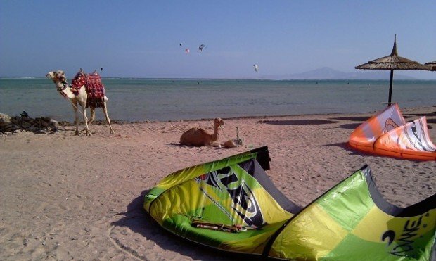 "Kitesurfing in Sharm-Nabq Bay"