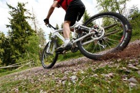 Paisley Woods Bicycle Trail, Ocala National Forest