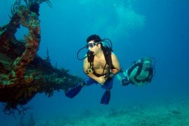 The Wreck of RMS Rhone, Salt Island