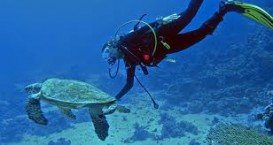 Wreck C-58, Cancun