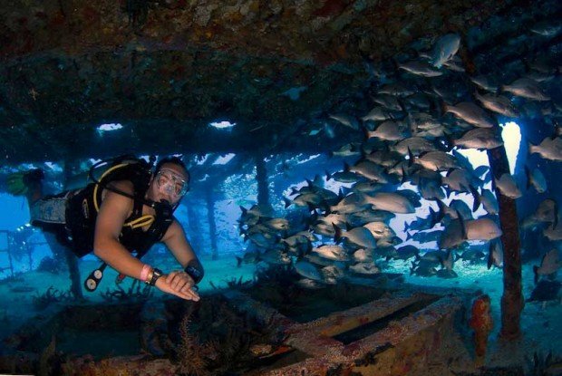 "Scuba Diving at Wreck C-58"