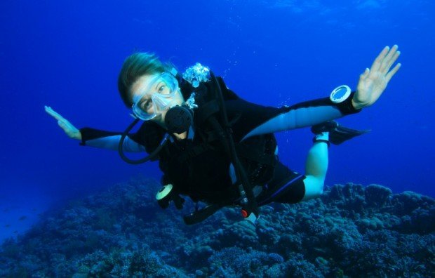 "Scuba diving at LBTS Biorock Reef"